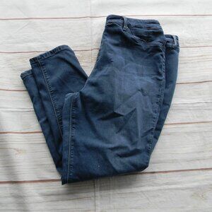 LAURIE FELT LOS ANGELES SILKY ANKLE SKINNY STRETCH JEANS SZ 1X PULL-ON